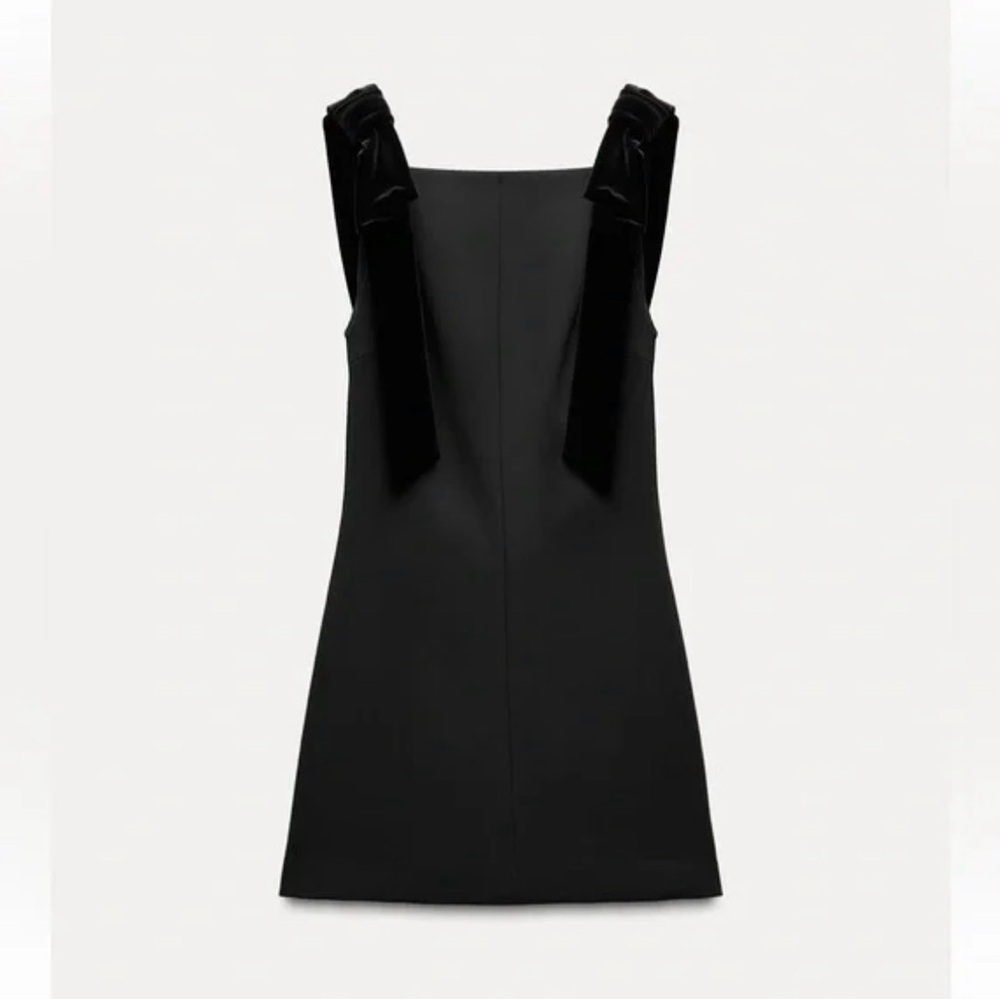 NWOT ZARA velvet bow mini dress
